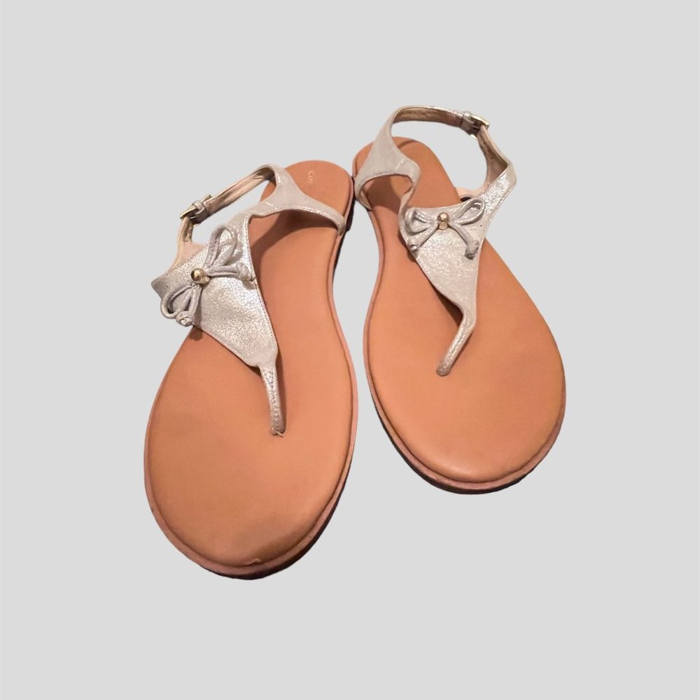 Cole Haan Findra Silver leather ankle strap sandals size 10
